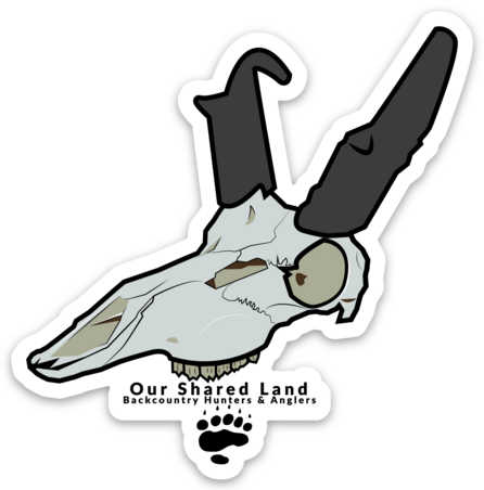 Our Shared Land - Pronghorn sticker